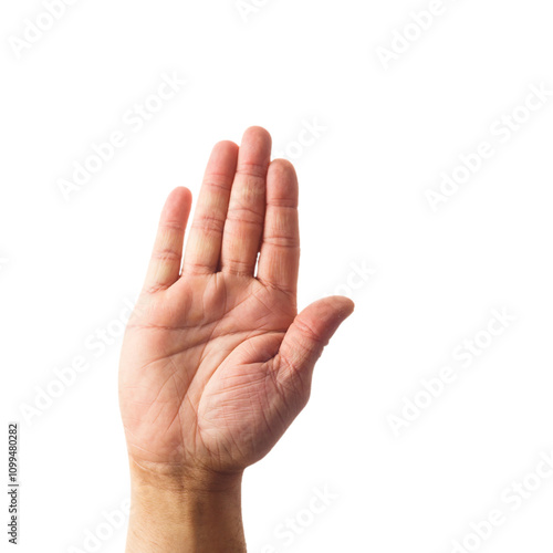 Obraz na płótnie Adult male hand showing stop gesture isolated on white w salonie