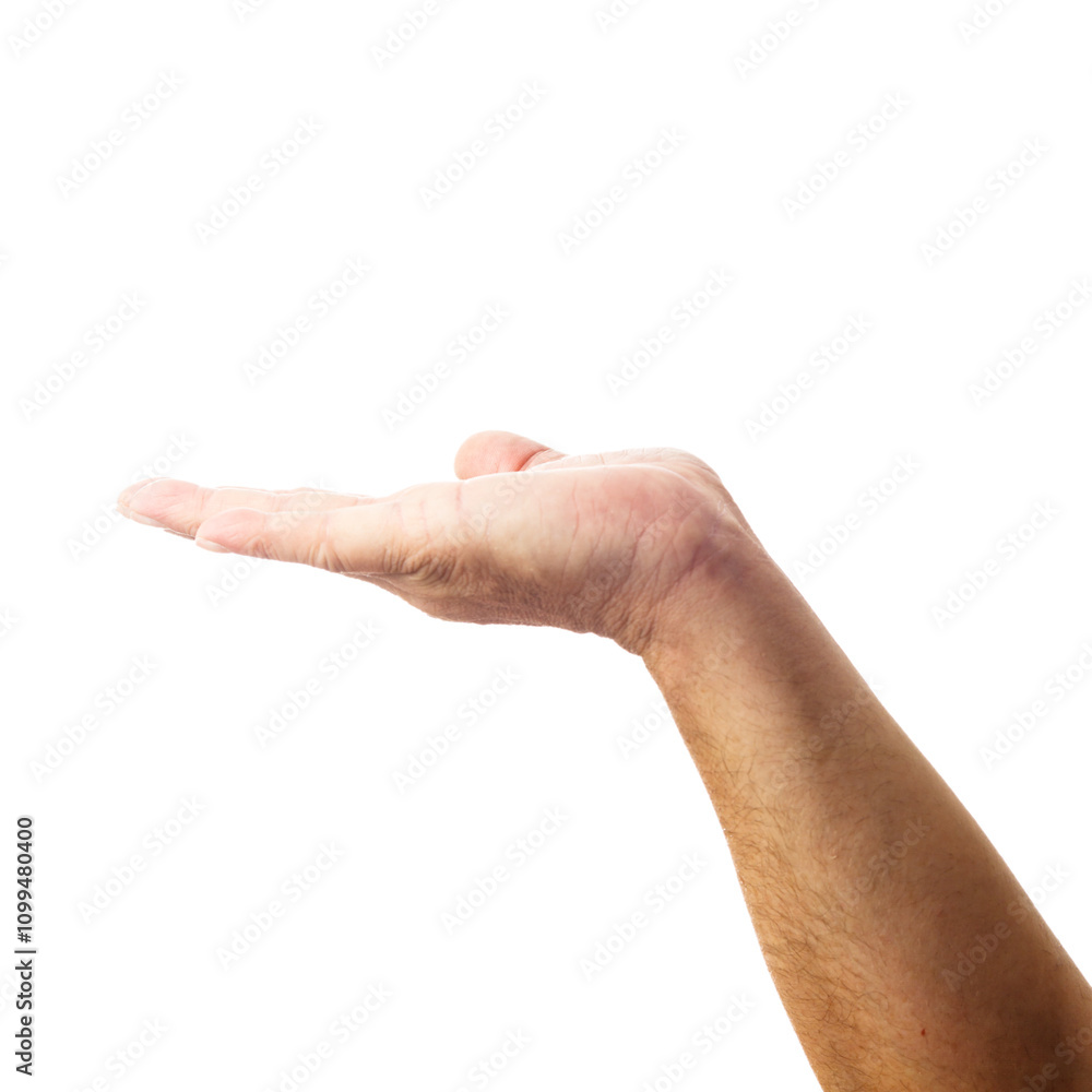 Adult male hand showing gesture of holding something isolated on white