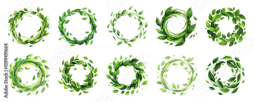 Herbal tea round swirl frame with green leaves and splash set. Nature elements round circle eco border organic falling foliage desing element. Cartoon style isolated vector clipart collection