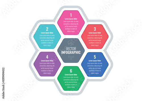 infographic template for annual report, magazine. infographic template for business, education, science world. colorful hexagons information template. six steps information template
