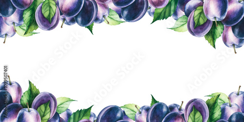Watercolor horizontal frame of dark blue plums, illustration, for card invitation design backgrounds .Design for food, cosmetics, drinks, jam and other industrial food products