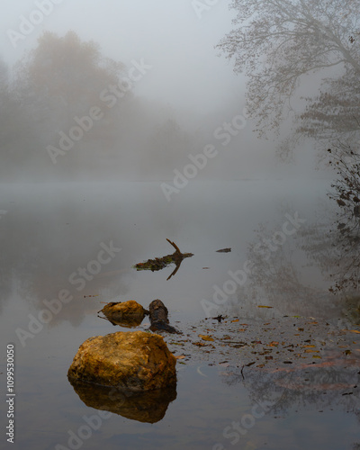 Heavy fog covers still water and trees, with rocks in the foreground, Chickamauga Creek, Georgia