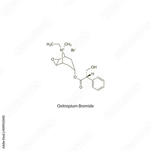 Oxitropium Bromide flat skeletal molecular structure Anticholinergic drug drug used in COPD, Asthma treatment. Vector illustration scientific diagram.