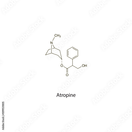Atropine flat skeletal molecular structure Antimuscarinic drug used in bradycardia treatment. Vector illustration scientific diagram.
