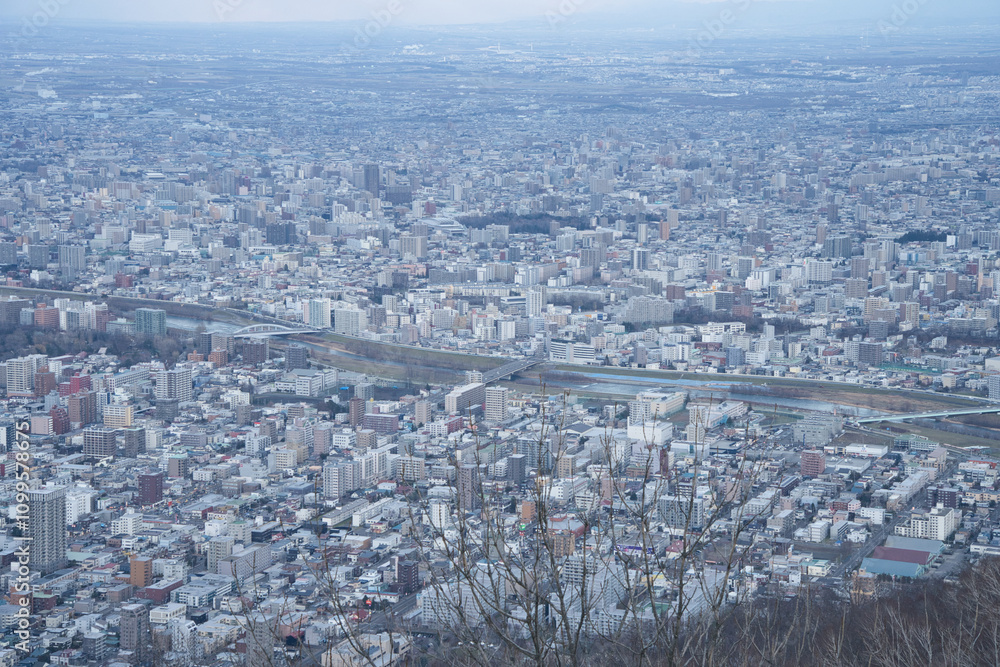 Obraz premium 札幌藻岩山山頂展望台からみた札幌のビル群の街並み