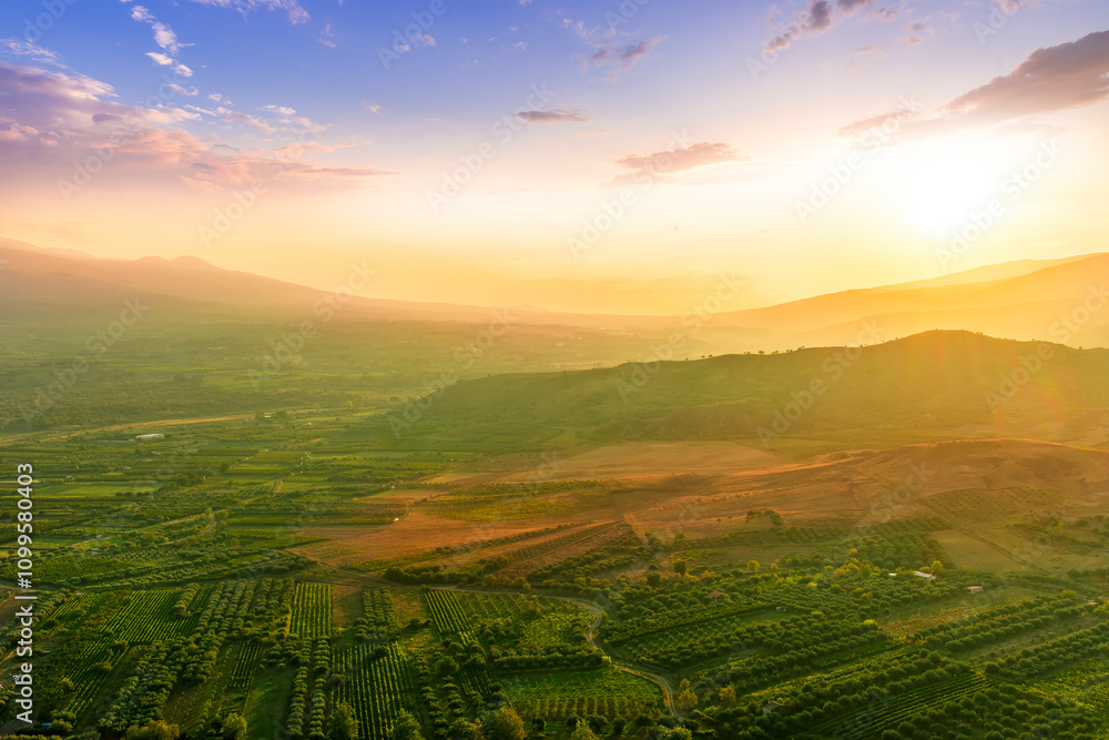 Fototapeta premium rustic landscape view of rural green valley in mountain hills with farms and gardens