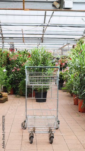 Empty shopping cart in garden center. Shopping in flower market for spring gardening. 