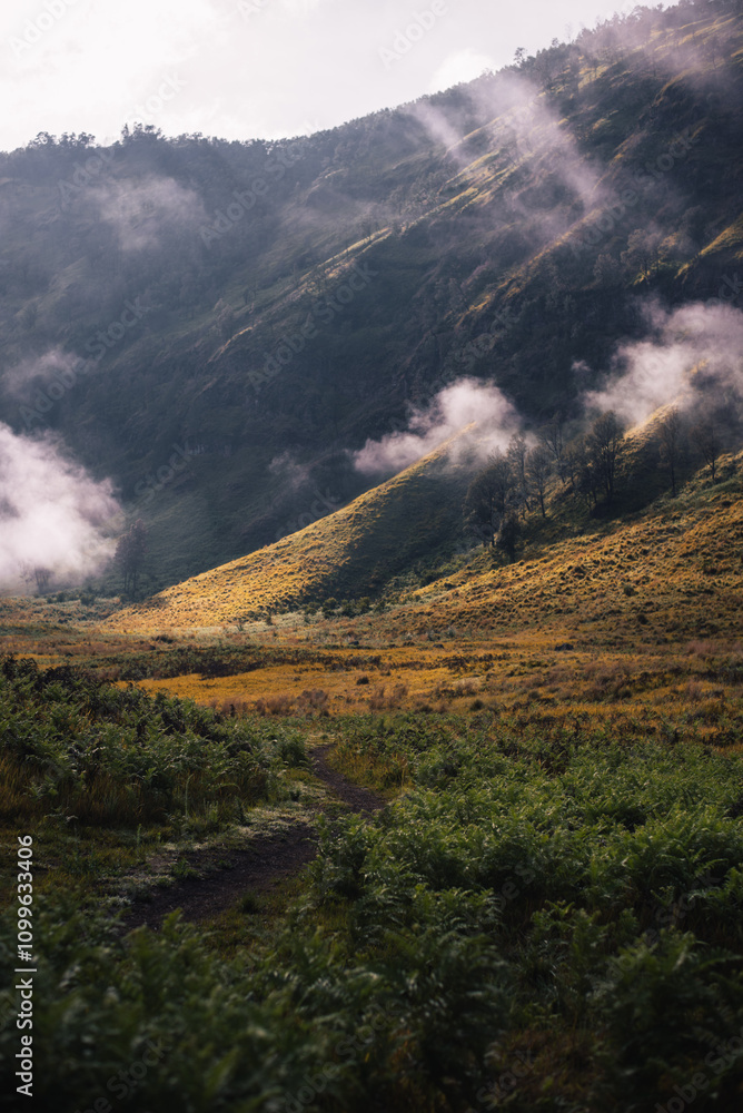 Beautifull mountain