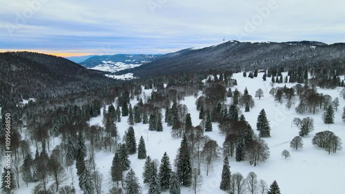 Aerial view of snowy forest in Switzerland