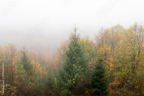 Autumn landscape in Apuseni Mountains