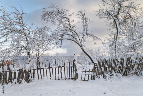 snow covered fence