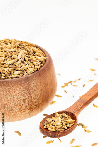 Dried organic fennel seeds - Foeniculum vulgare. photo