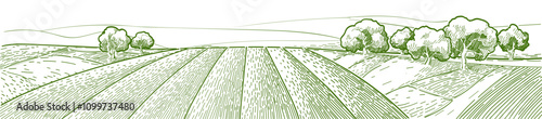 Green grass field on small hills. Meadow, alkali, lye, grassland, pommel, lea, pasturage, farm. Rural scenery landscape panorama of countryside pastures. Vector sketch illustration