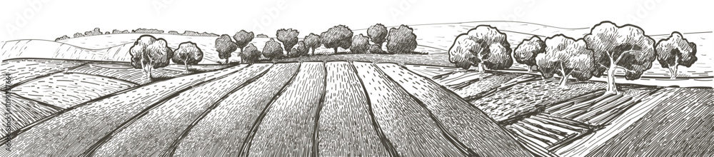Fototapeta premium Green grass field on small hills. Meadow, alkali, lye, grassland, pommel, lea, pasturage, farm. Rural scenery landscape panorama of countryside pastures. Vector sketch illustration