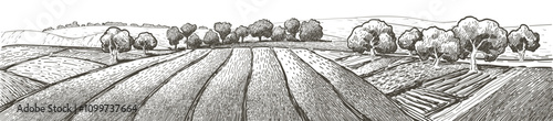 Green grass field on small hills. Meadow, alkali, lye, grassland, pommel, lea, pasturage, farm. Rural scenery landscape panorama of countryside pastures. Vector sketch illustration