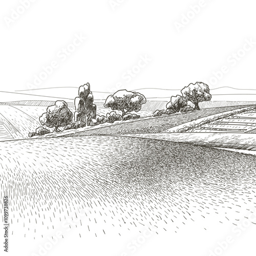 Green grass field on small hills. Meadow, alkali, lye, grassland, pommel, lea, pasturage, farm. Rural scenery landscape panorama of countryside pastures. Vector sketch illustration