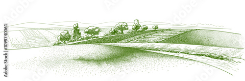 Green field landscape on small hill. Vector meadow grass, nature, pasturage, farm. Rural scenery landscape panorama of countryside pastures.