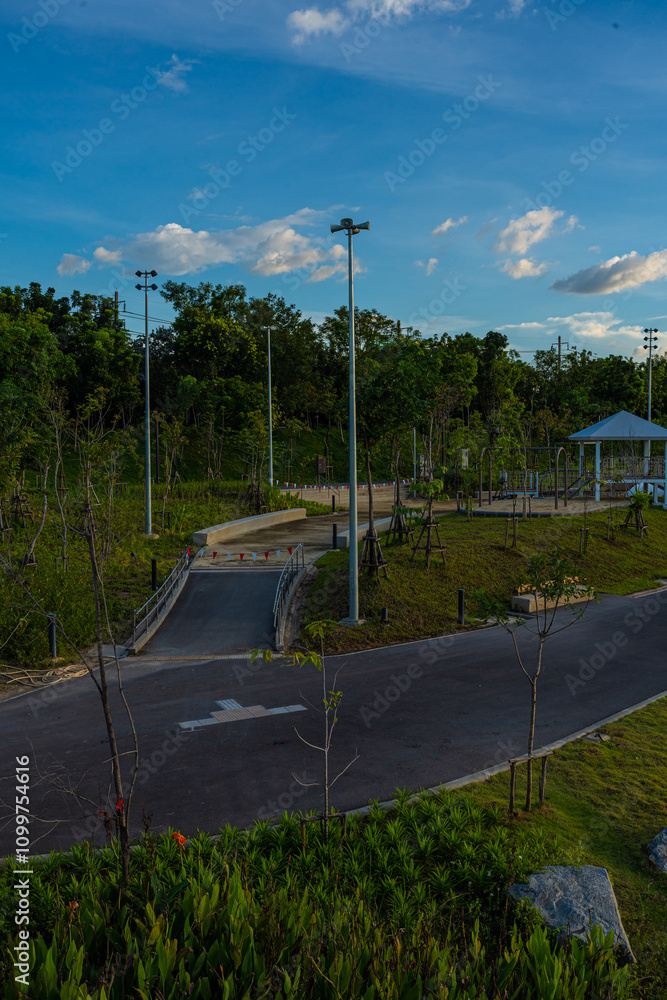 Fototapeta premium Walk and run pathway pavement asphalt road in city green tree pak