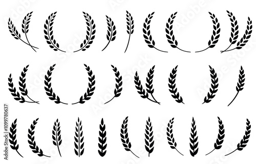 silhouette of weat ears, barley and rye spikelet set icons