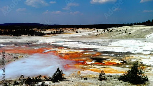 NATURA CANADESE, PICCOLI GEYSER, YELLOWSTONE NATIONAL PARK