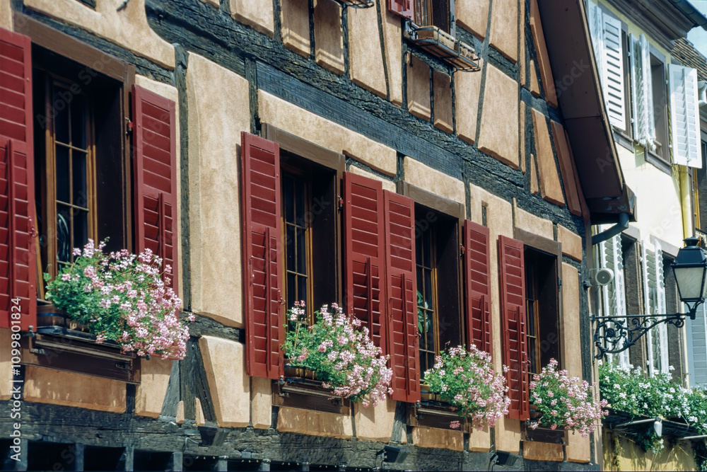 Fototapeta premium Ribeauville, Alsace, France: typical half-timbered houses