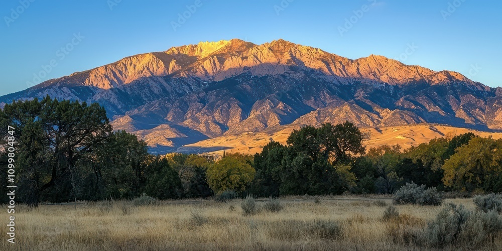 Fototapeta premium Early morning view of the mountains with the sun rising behind them, casting a golden glow on the landscape.