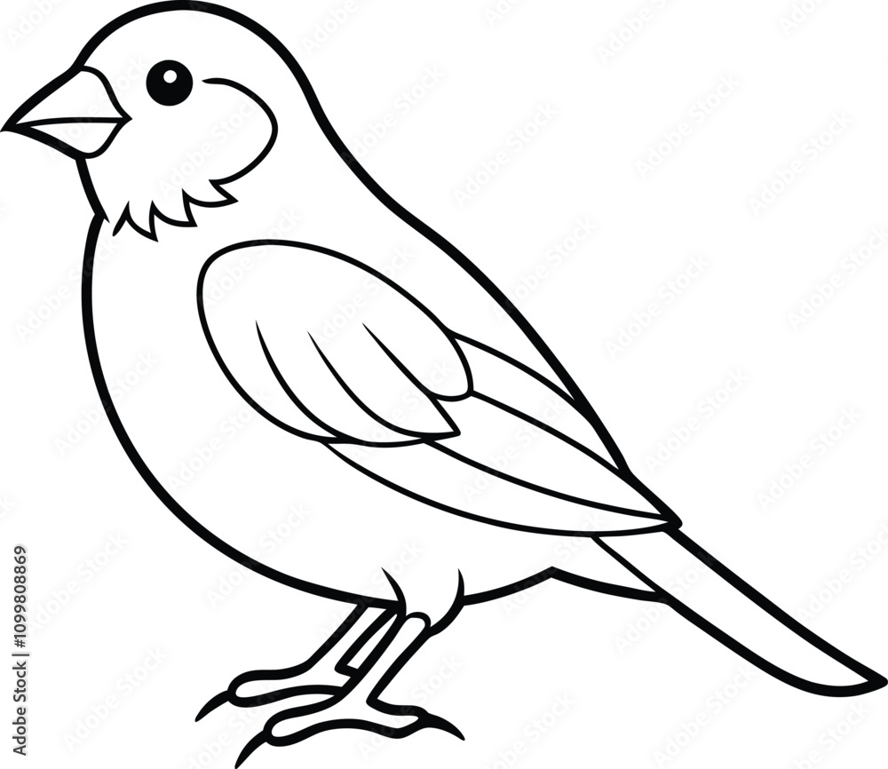 Fototapeta premium illustration of a bird