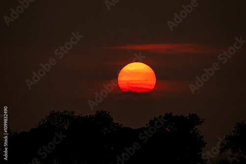 Vibrant sunset with silhouetted trees.