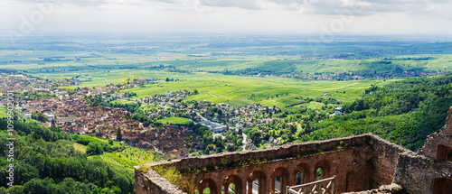 ribeauville panorama taken in summer