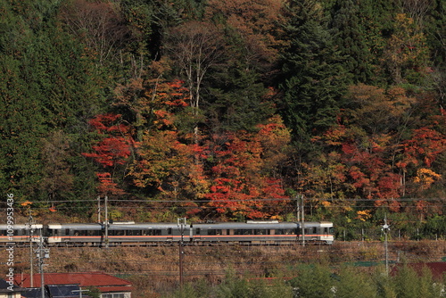 紅葉に染まる木曽路を駆け抜ける383系特急しなの_2024/11/23撮影 photo