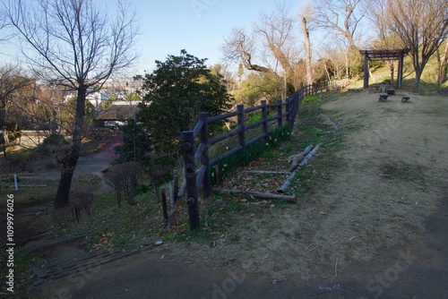 本郷ふじやま公園の風景　眺め　梅の季節
 photo