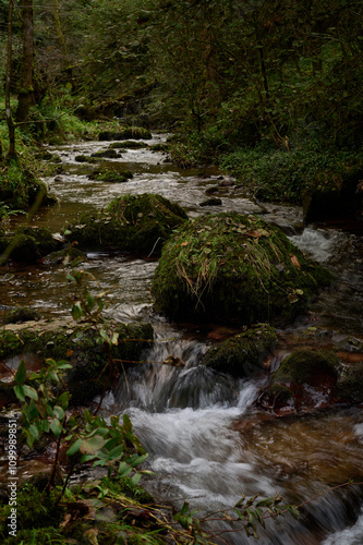 The Mills of the Deep River Route: A Magical Forest of Beeches and Chestnut Trees in Villaviciosa, Asturias, Spain