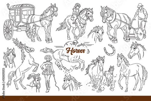 Horses performing in circus or working on plantation and riding children around park with people who love animals. Domesticated horses and wild stallions with long manes or horseshoes. Hand drawn.