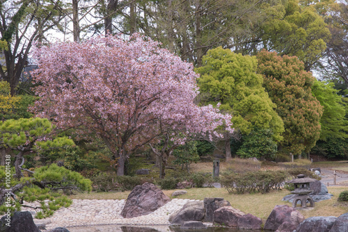 Traditional japanese gardens surrounding a castle - Serenity and natural harmony. photo