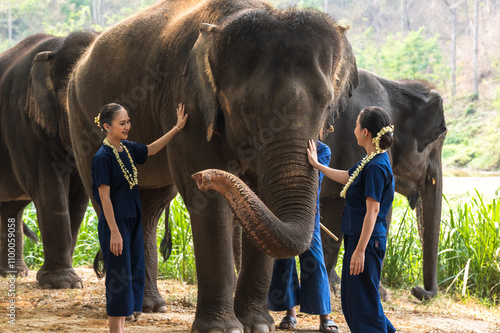 Sticker Thai women in indigo clothing standing with  elephants in animal sanctuary