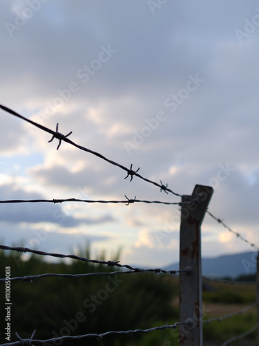 Barbed wire. Barbed wire on a fence as a background