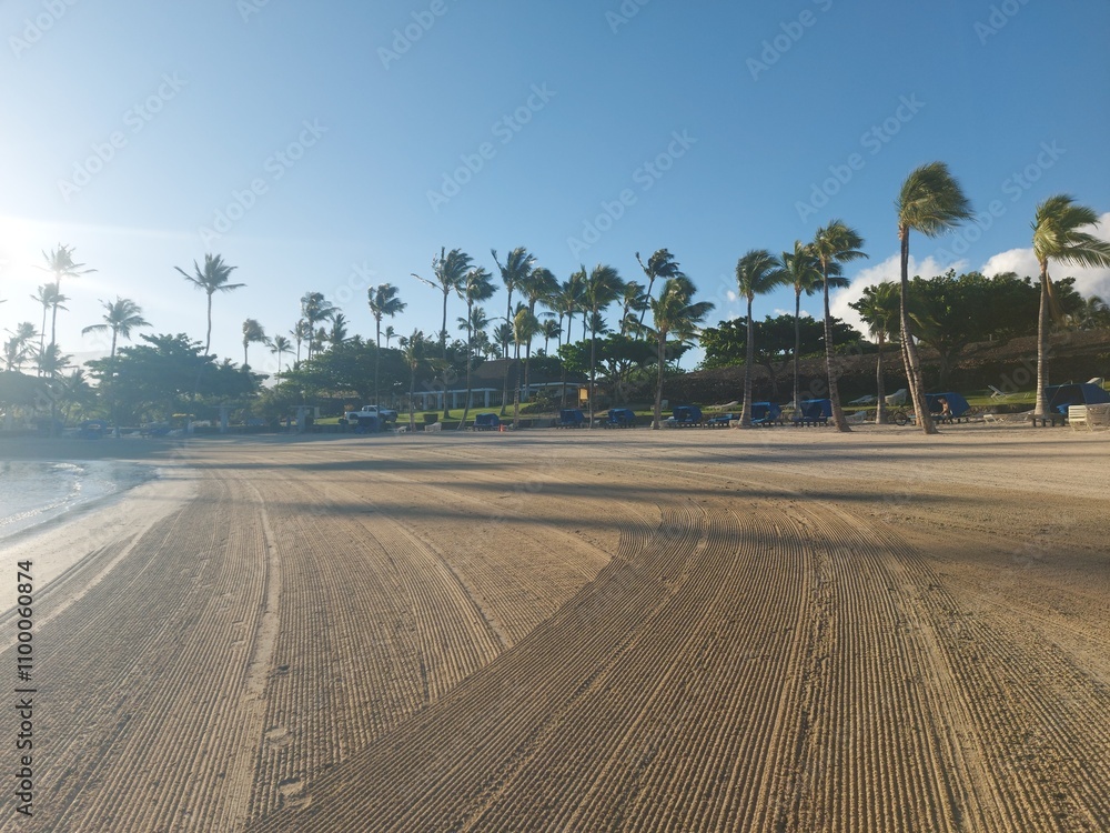 Fototapeta premium ocean, water, sky, clouds, trees, palm tree, peace, relax, haway, havai, america, travel, destination, blue, landscape, nature, outside, view, island