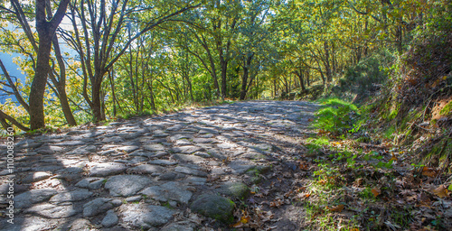 Stone cobbled path. Garganta de los Infiernos Natural Reserve, Extremadura, Spain photo