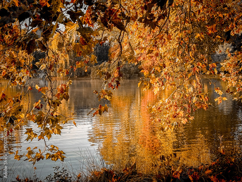 Exploring the Vibrant Streets of Bois de Vincennes, France