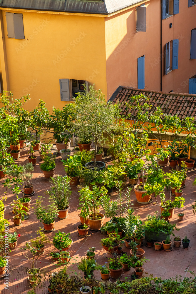 Φωτογραφία Charming rooftop garden in Bologna old town, Emilia Romagna, Italy, with variety of potted plants and small trees illuminated by warm sunlight against pastel-colored buildings
