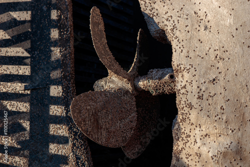 The propeller and bottom of boat covered with Acorn barnacles Semibalanus balanoides, ready to be scraped, cleaned and coated with antifouling paint for yachts photo