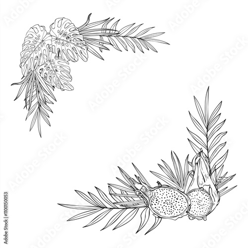 Vector monochrome tropical fruits and leaves vector square border with empty space for text. pitaya slices and monstera , palm leaves line art black ink sketch. Floral illustration for invitation