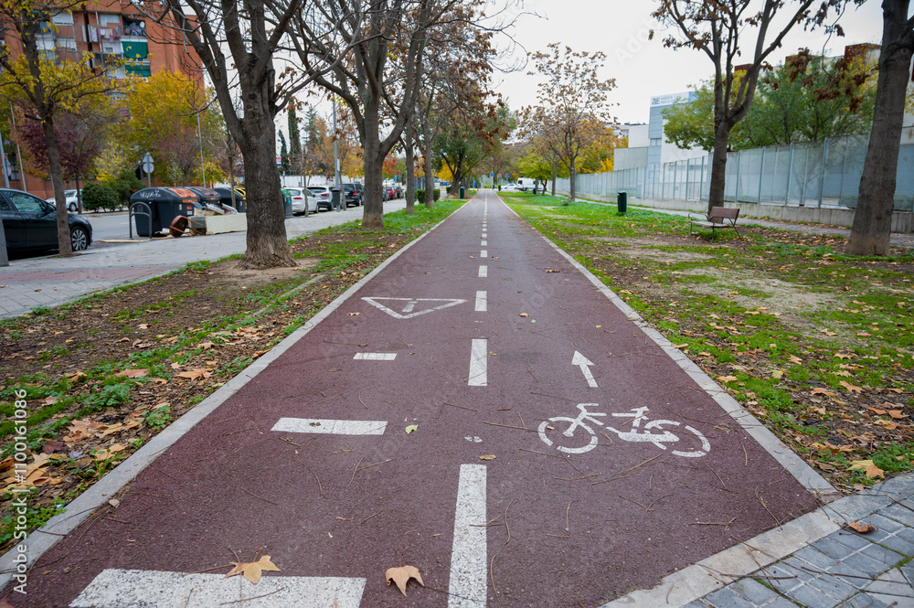 Obraz premium A bike lane view in autumn isolated