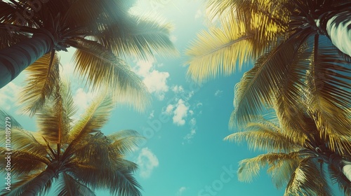 A beautiful blue sky with palm trees in the background. The palm trees are tall and have long leaves