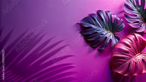 Tropical Monstera Leaves on Purple Background, Purple, Monstera, Leaves, Background