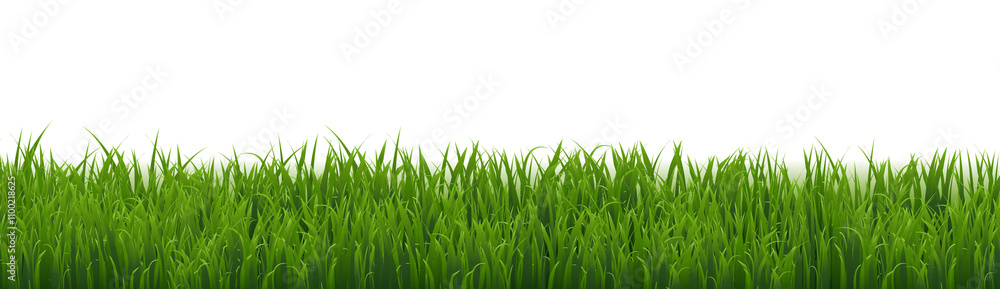 Obraz premium Green Grass Border Isolated White Background