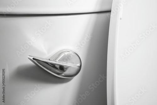 Handle of flush toilet. Press for cleaning and hygiene. Concept of flushing away something. photo