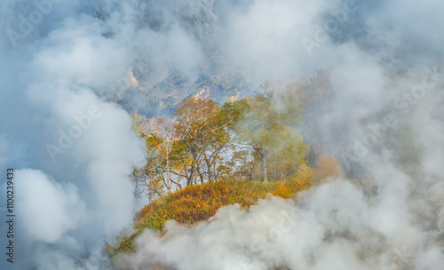 Aerial view of the breathtaking valley of geysers surrounded by lush trees and mystical fog, Kamchatka, Russia. photo