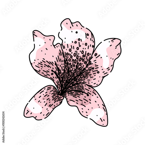 shrub azalea hand drawn. evergreen deciduous, pink red, purple soil shrub azalea vector sketch. isolated color illustration