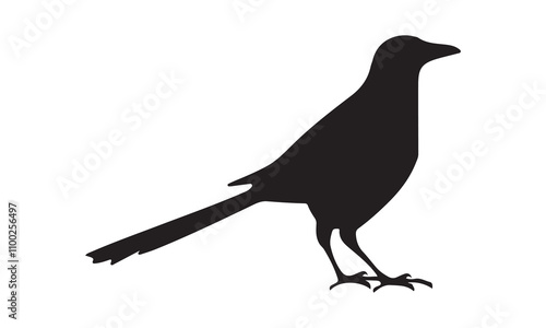 Bilde på lerret European starling icon silhouette vector illustration kitten icon logo cartoon c